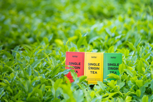 The Truth About Single-Origin Tea?